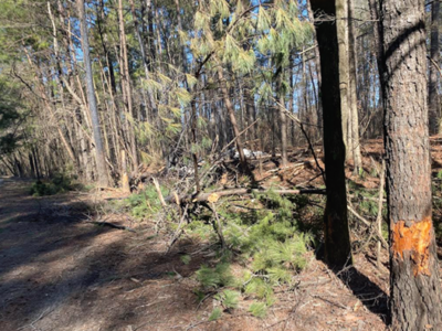 Scene of last week’s fatal crash along Hwy 150